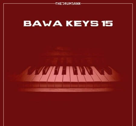 Dynasty Loops Bawa Keys 15 WAV